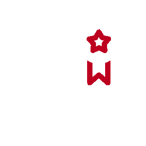 Customer review
